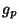 \( g_{p} \)