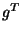 \( g^{T} \)
