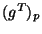 \( (g^{T})_{p} \)