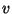 \( v \)